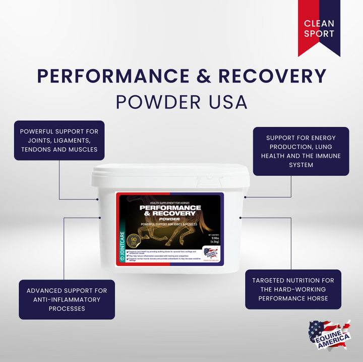 Performance & Recovery Powder