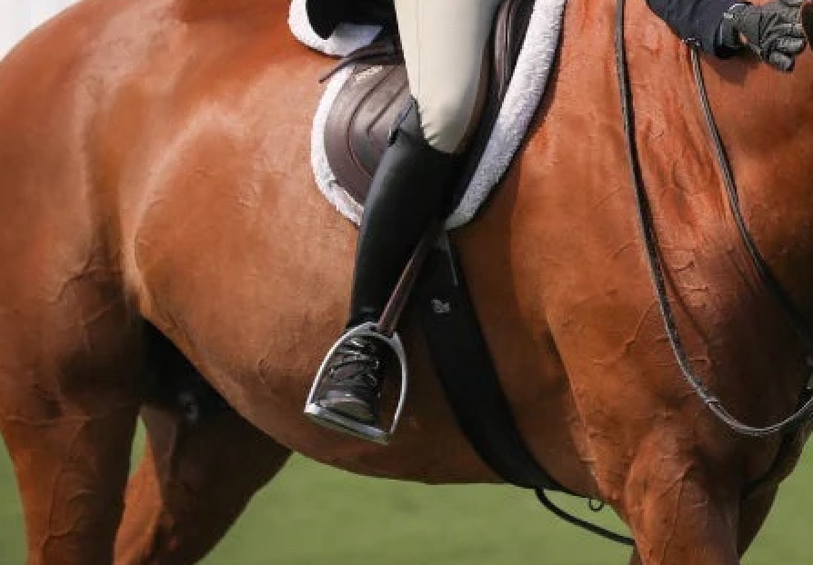 Essential Stretches for Riders