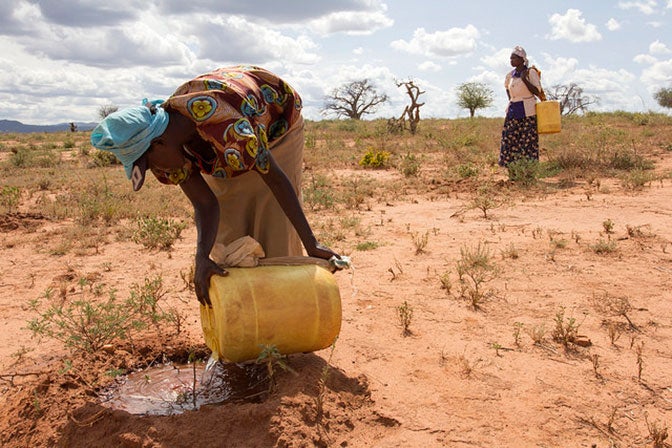 Protéger les agriculteurs, ménages et entreprises face aux risques climatiques et de catastrophes.