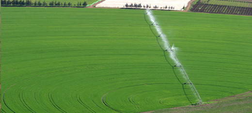 Hausse de 57 pour cent du Pib agricole du Maroc en 8 ans