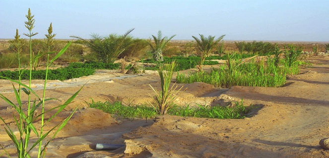 Ll'agriculture doit davantage contribuer à lutter contre le changement climatique tout en se préparant à combattre ses effets.