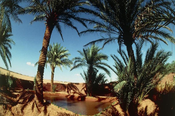 L'Algérie veut relancer le tourisme, notamment le circuit des oasis