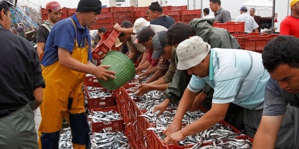 Maroc : une enquête nationale sur l’emploi fait l’effet d’une douche froide pour le gouvernement