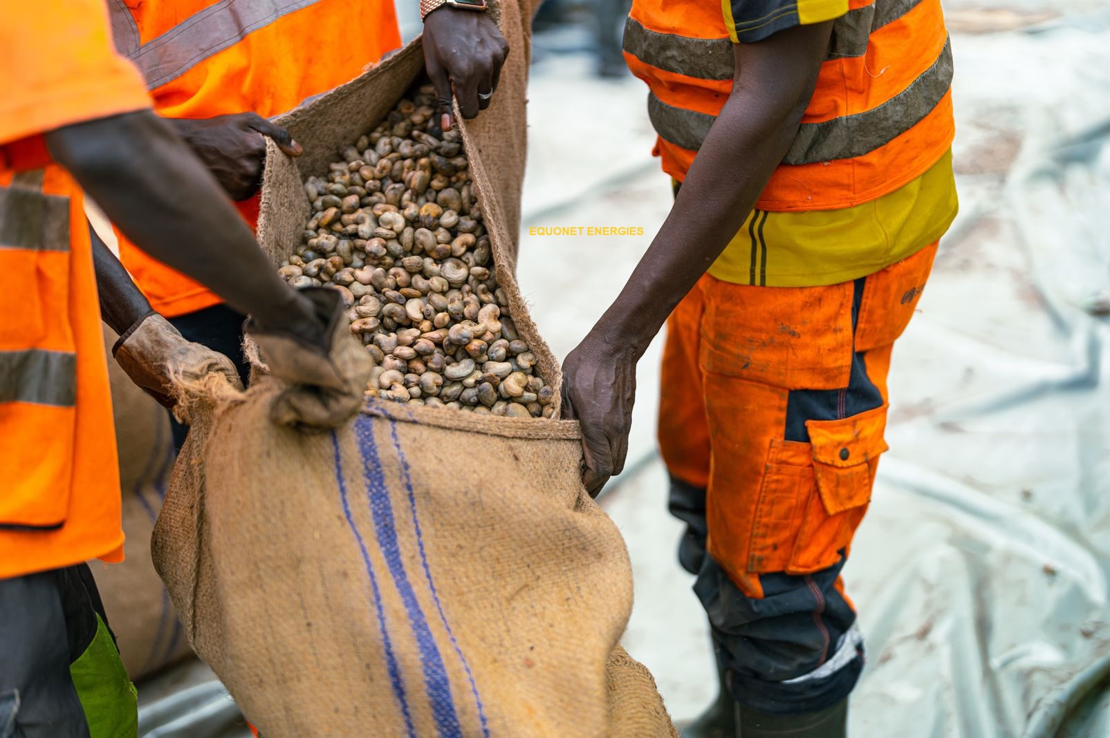 port autonome de dakar sénégal : ouverture de la saison 2024 d’exportation d’une longue série de cargaison de noix de cajou des noix de cajou