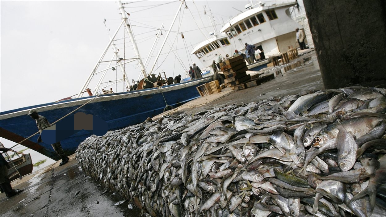 sénégal : 24 navires arraisonnés pour diverses infractions et 103 millions fcfa d'amendes versés au trésor public