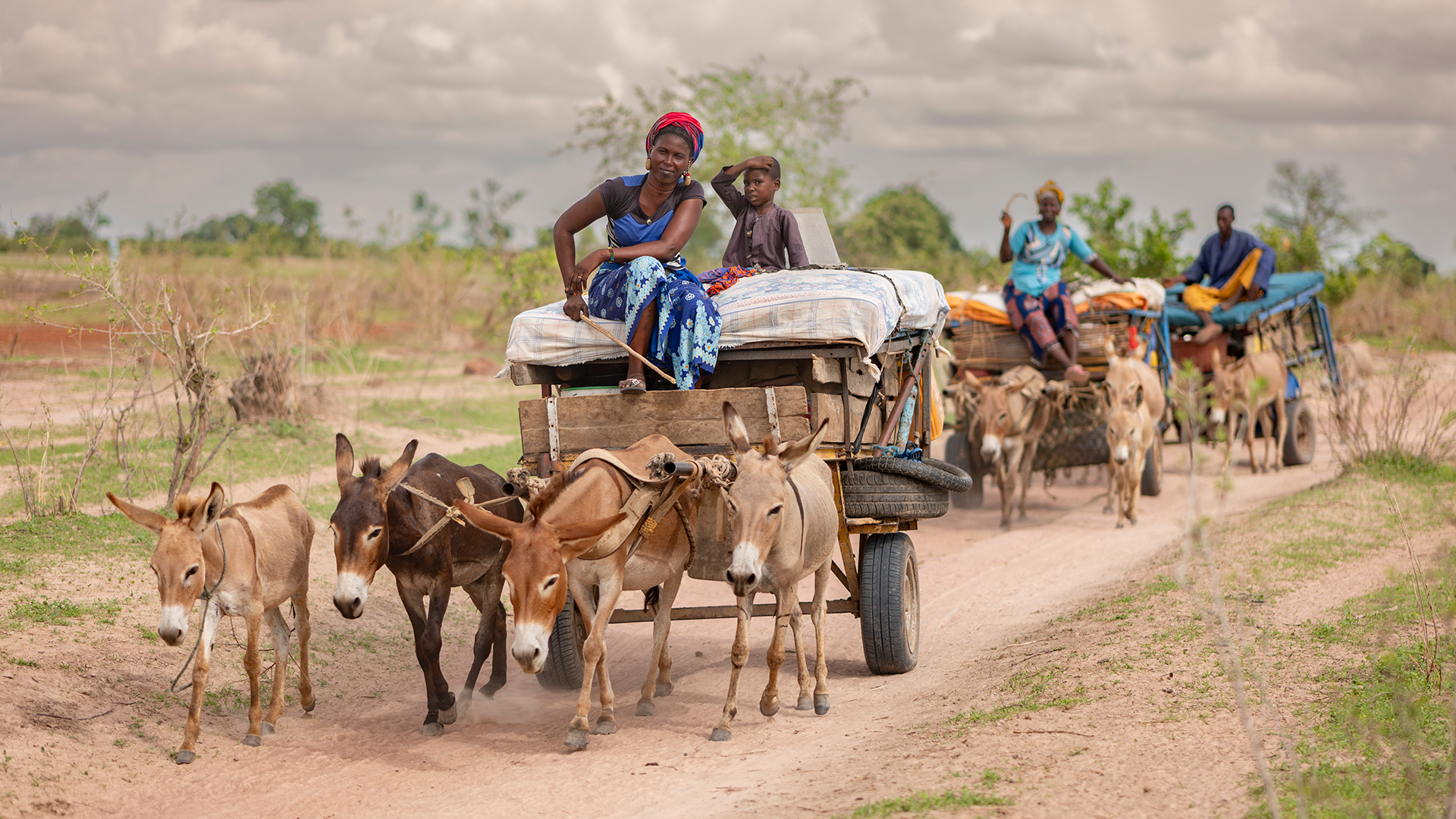 Photo : © FAO/Sylvain Cherkaoui