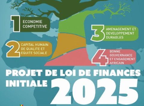 Le projet de loi de finances (PLF) pour l’année 2025 s’inscrit dans une dynamique de réinvention de notre modèle de développement pour jeter les bases de la souveraineté économique.