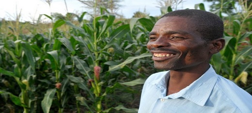 L’agriculture, une activité économique : considérer l’agriculture comme une possibilité d’investissement