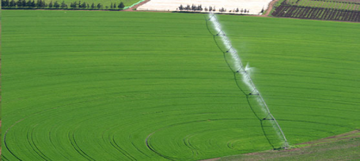 Hausse de 57 pour cent du Pib agricole du Maroc en 8 ans