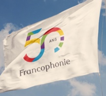 De la francophonie à la franglophonie ou la mort programmée de la langue française