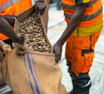 port autonome de dakar sénégal : ouverture de la saison 2024 d’exportation d’une longue série de cargaison de noix de cajou des noix de cajou