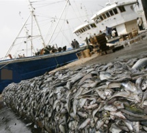 sénégal : 24 navires arraisonnés pour diverses infractions et 103 millions fcfa d'amendes versés au trésor public