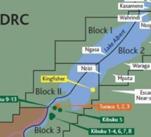 république démocratique du congo : fin de la vente aux enchères de 30 blocs pétroliers et gaziers