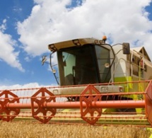 Vers un résultat sur les subventions agricoles à l’OMC en 2017 ?